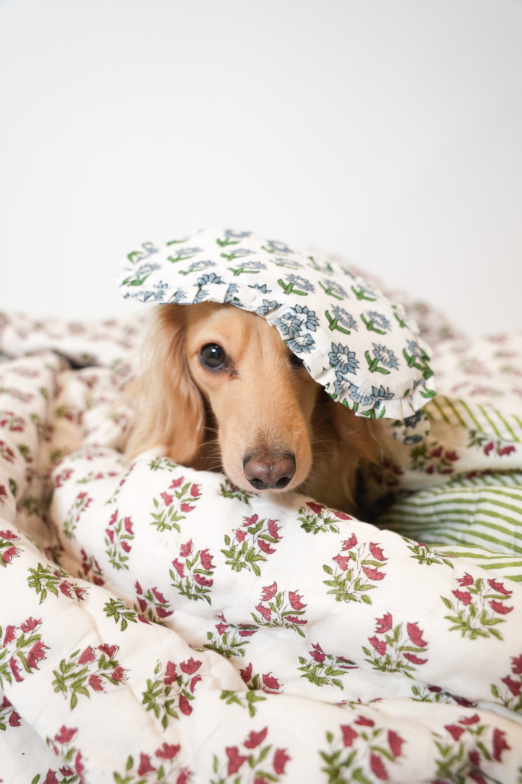 The Daisy Eye Mask